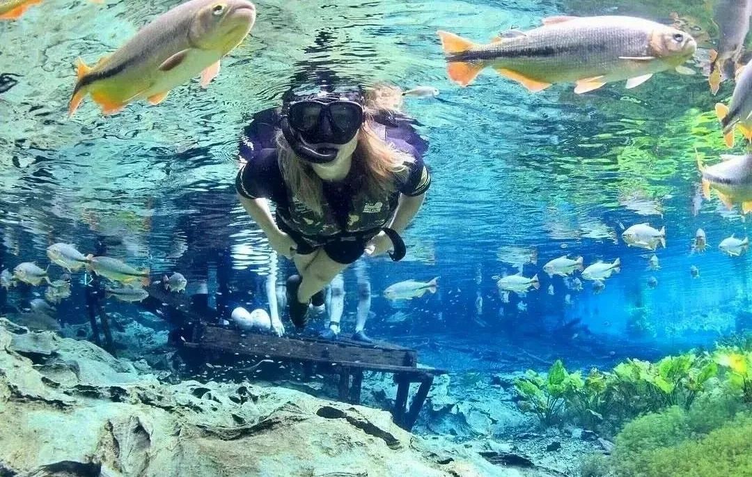 Aquario Natural - Imagem 1