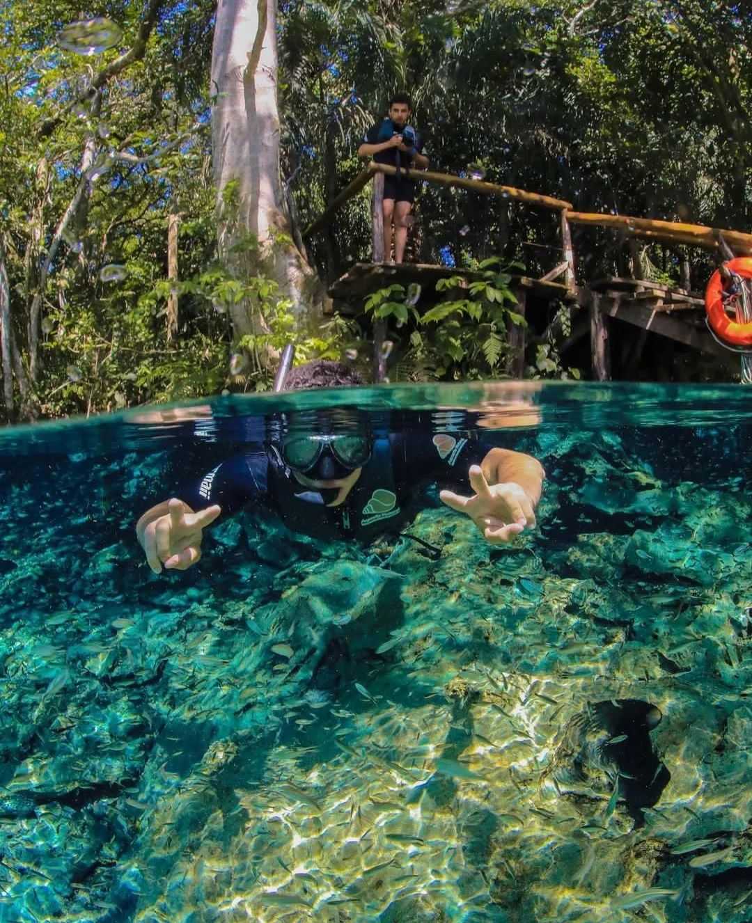 Aquario Natural - Imagem 4