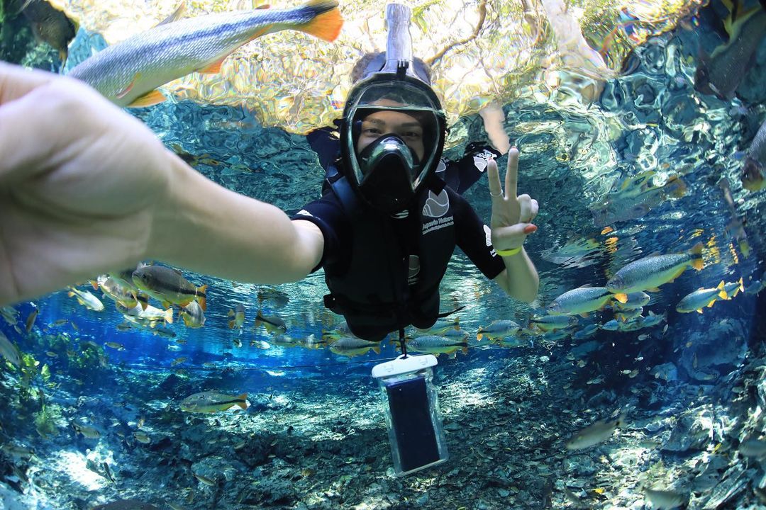 Aquario Natural - Imagem 5