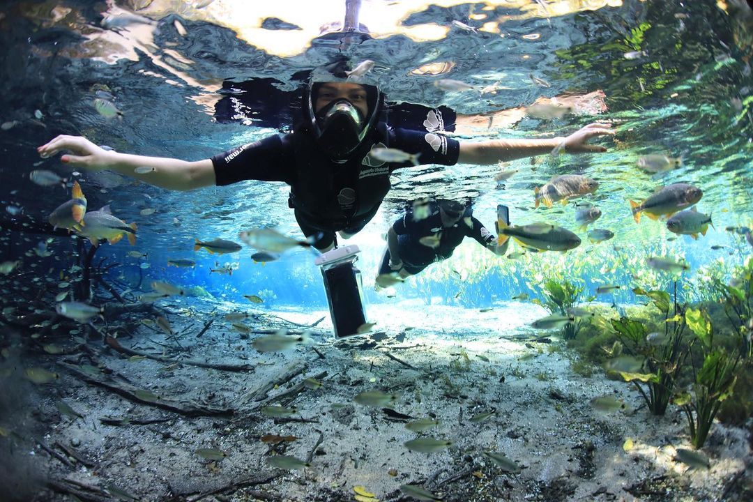 Aquario Natural - Imagem 7