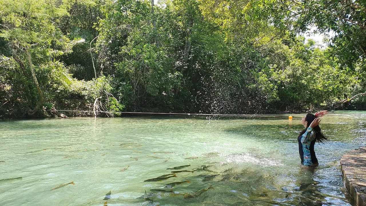 Balneário Jardim Ecopark - Imagem 4
