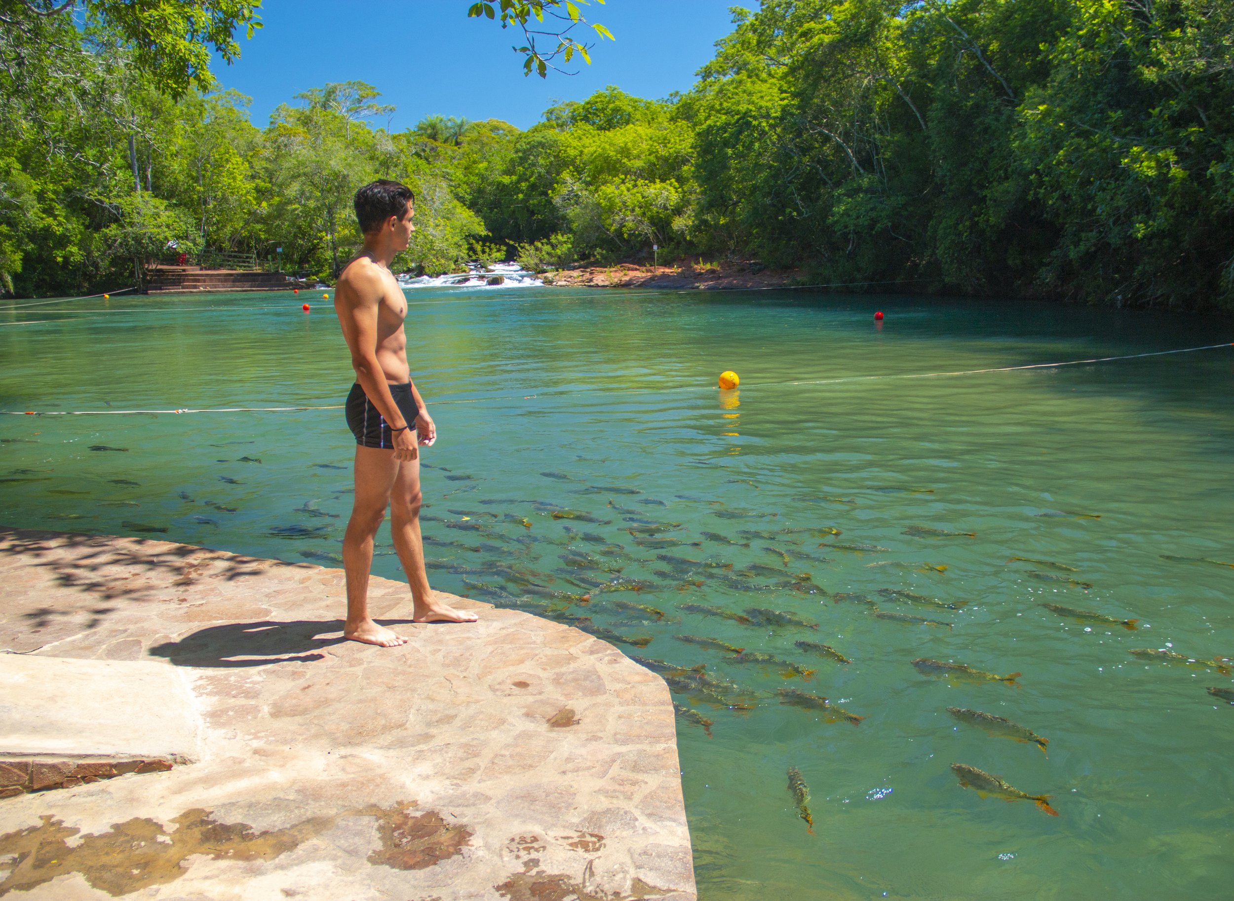 Balneário Jardim Ecopark - Imagem 6