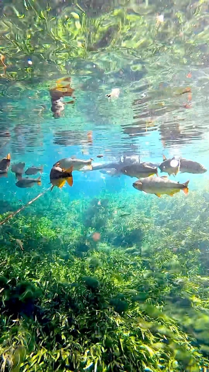 Barra Do Sucuri - Imagem 3