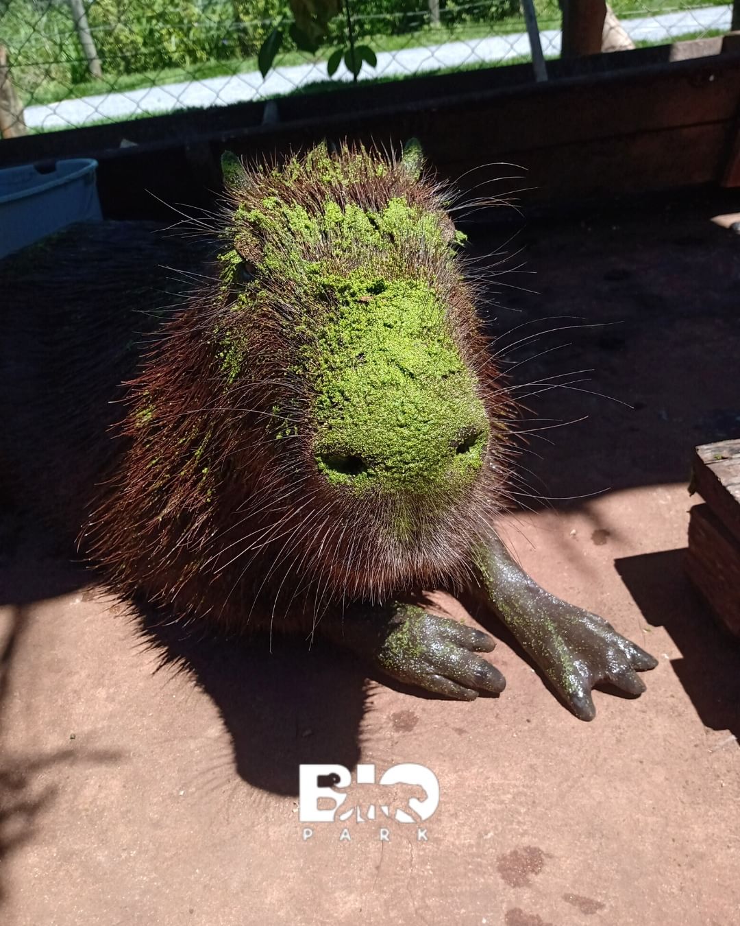 Bio Park - Imagem 6