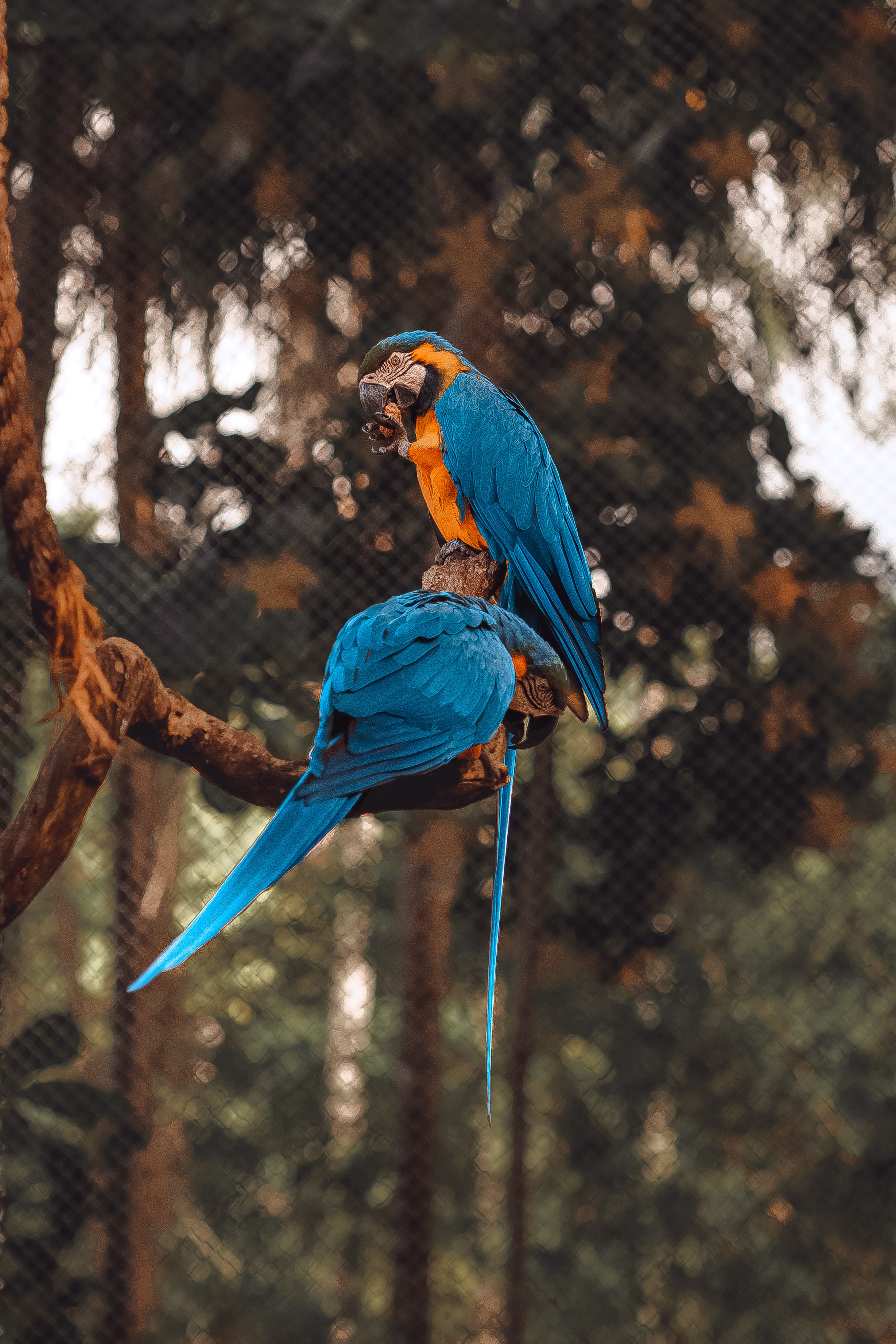 Bio Park - Imagem 8