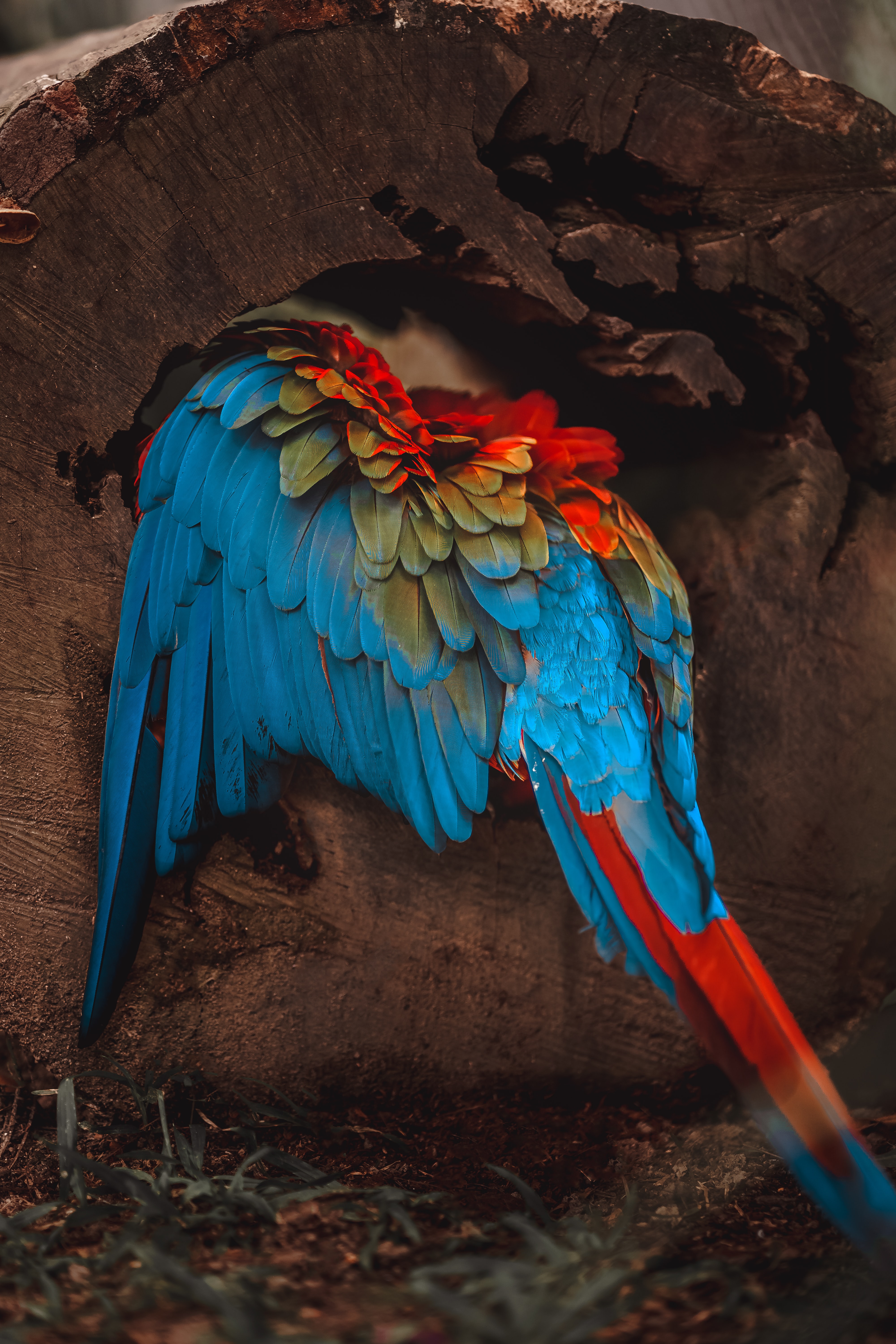 Bio Park - Imagem 9
