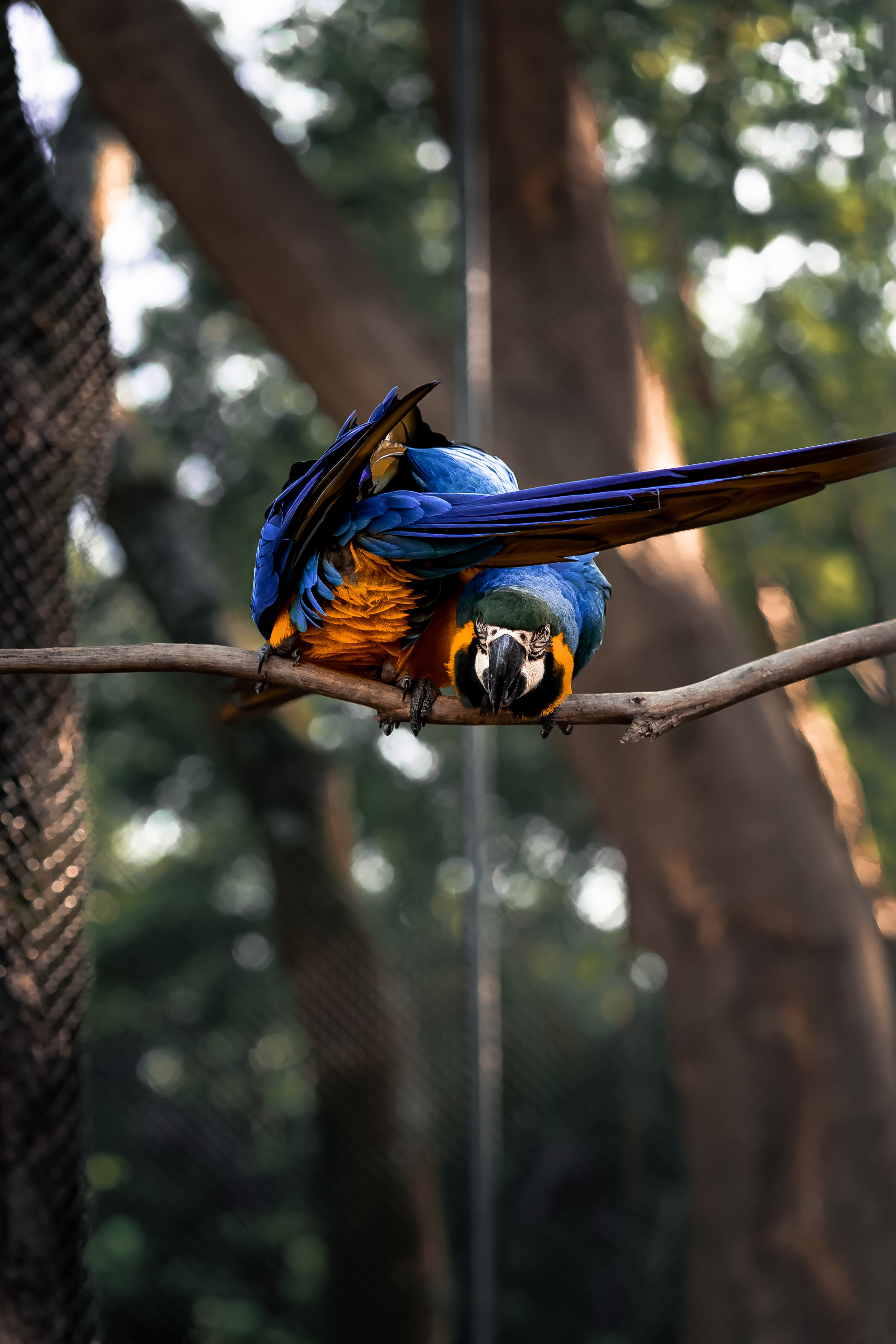 Bio Park - Imagem 10