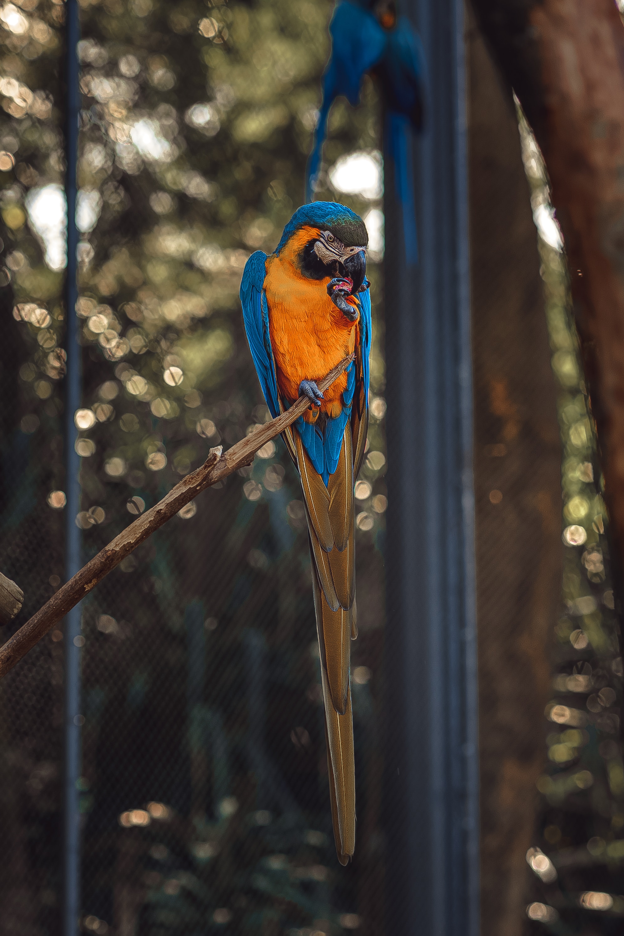 Bio Park - Imagem 11