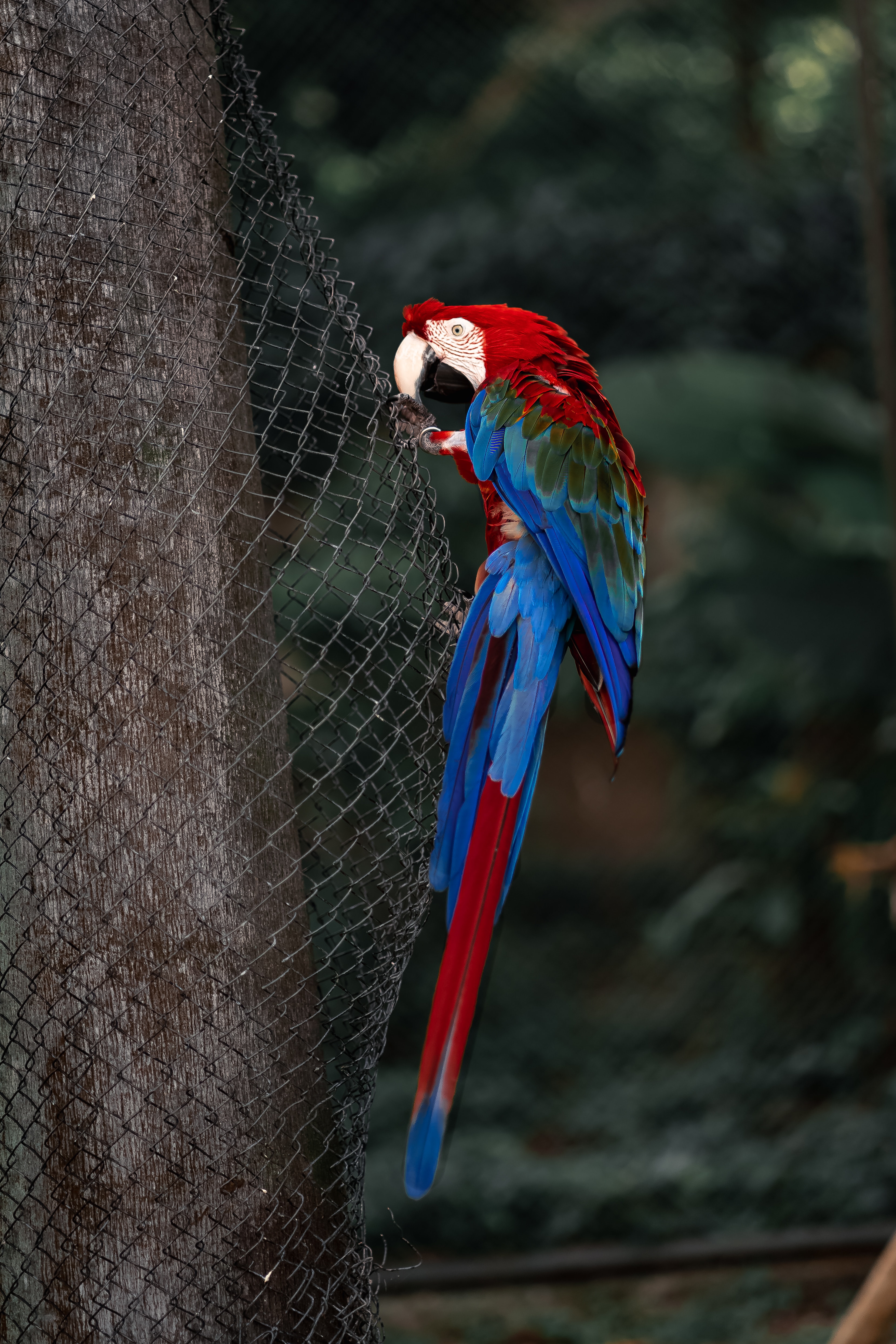 Bio Park - Imagem 12
