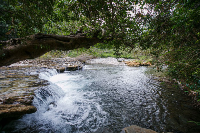 Boca da Onça Trilha Discovery - Imagem 3