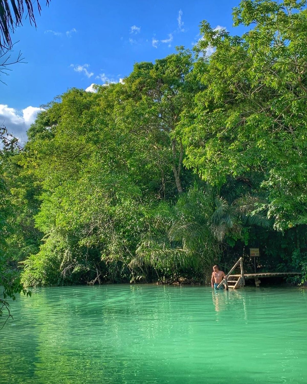 Bosque Das Águas - Imagem 1
