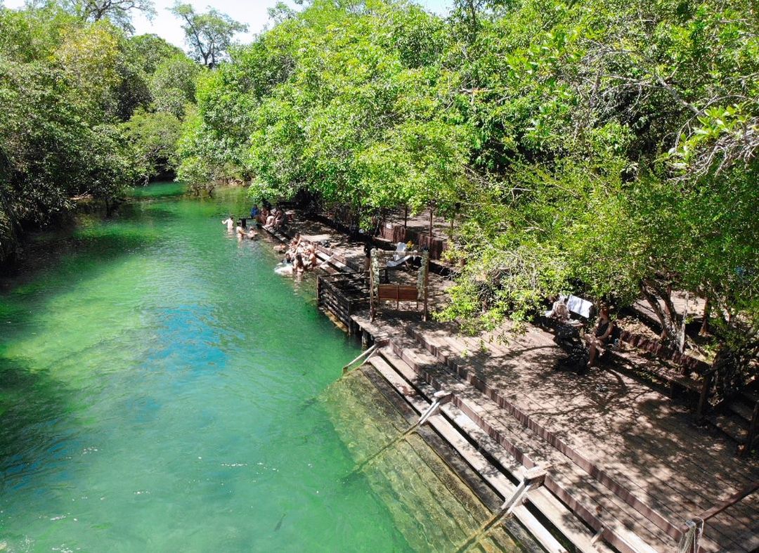 Bosque Das Águas - Imagem 3