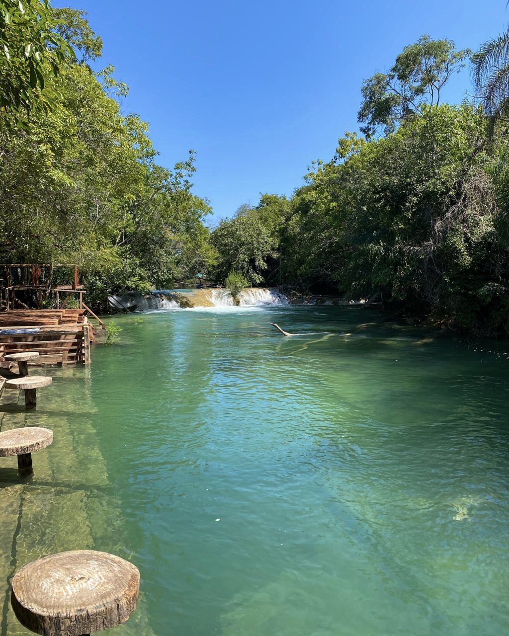 Bosque Das Águas
