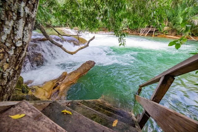 Bosque Das Águas - Imagem 7
