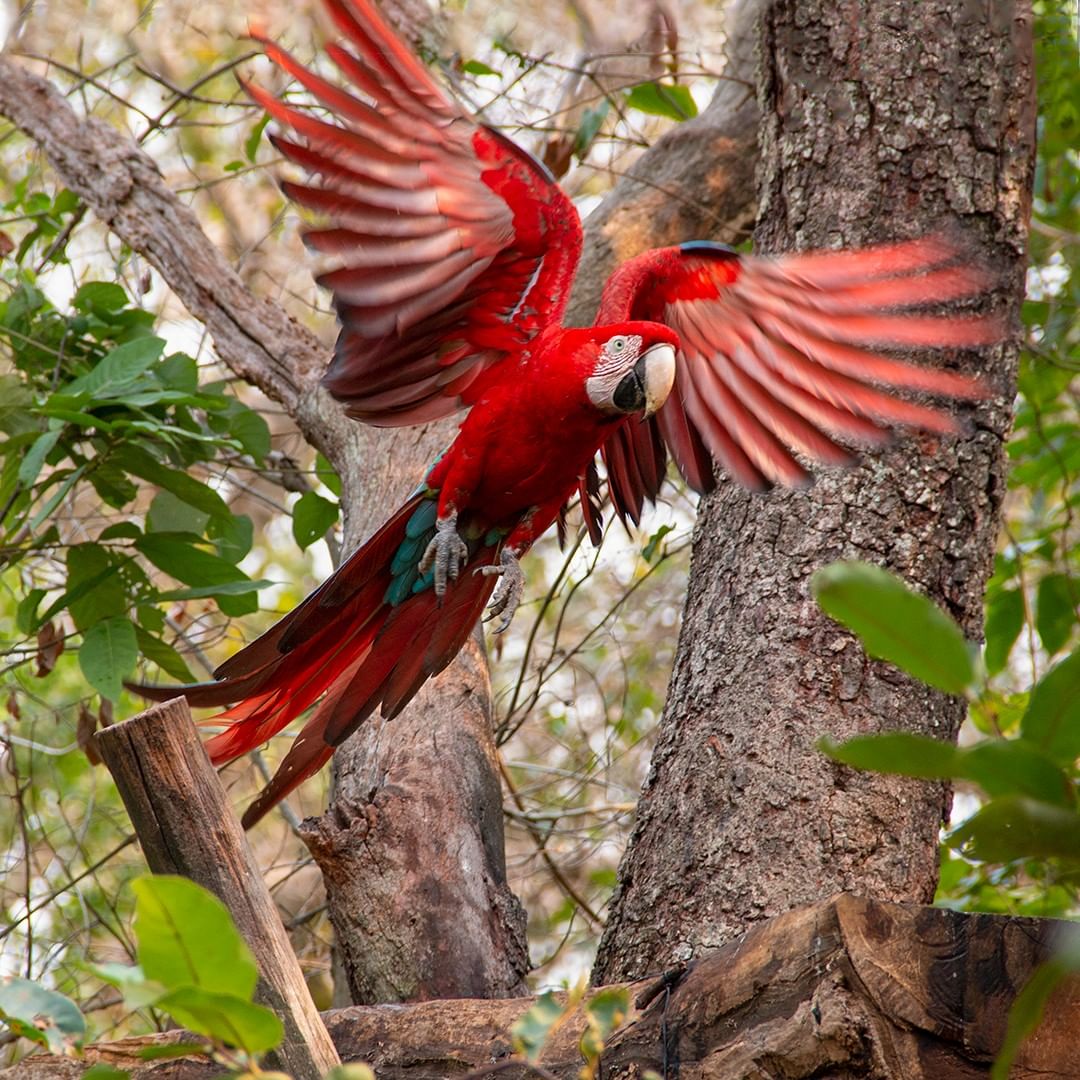 Buraco Das Araras - Imagem 2