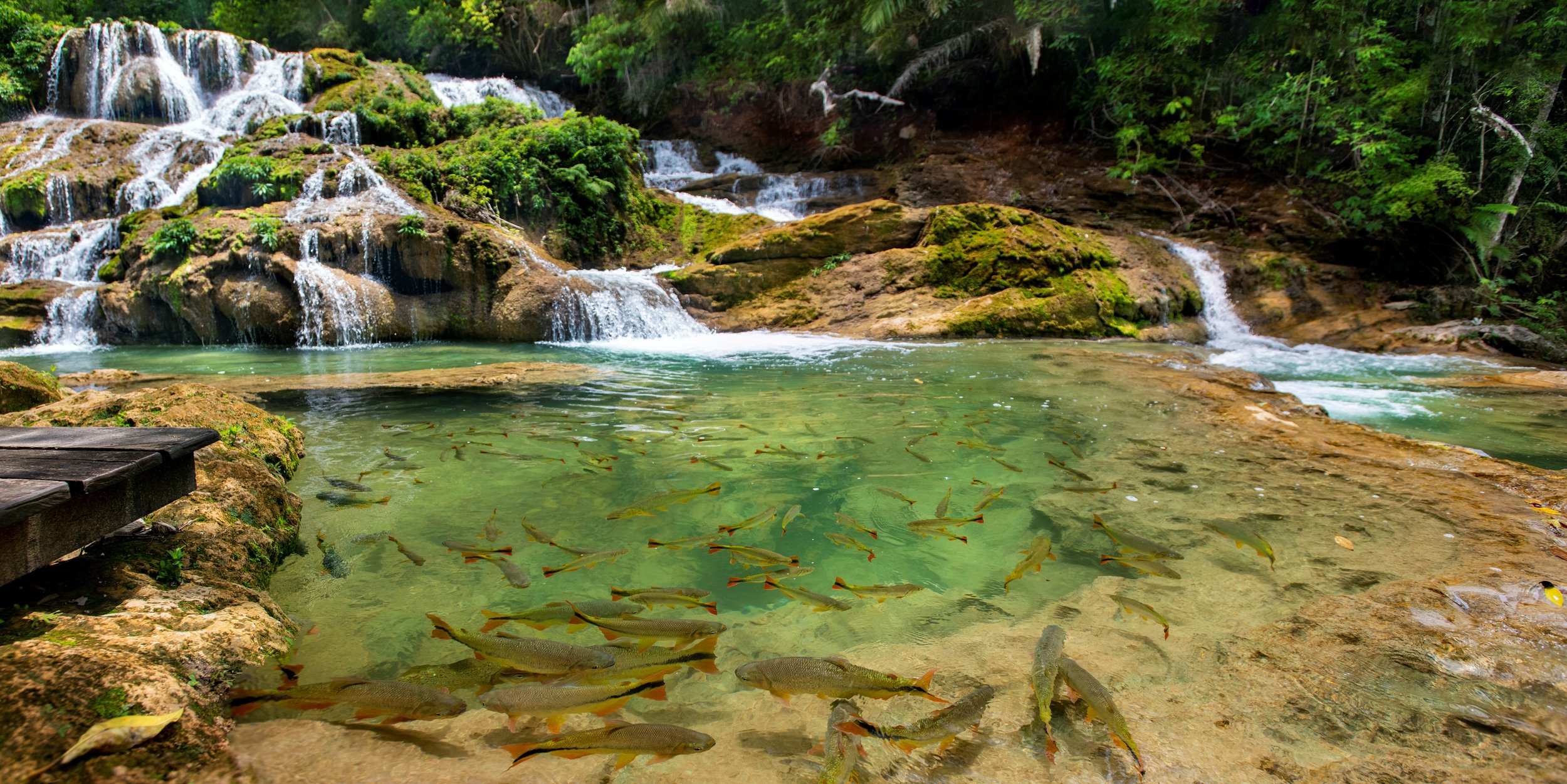 Cachoeiras Rio Do Peixe - Imagem 4