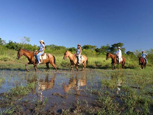 Cavalgada - Parque Ecológico Rio Formoso - Imagem 2