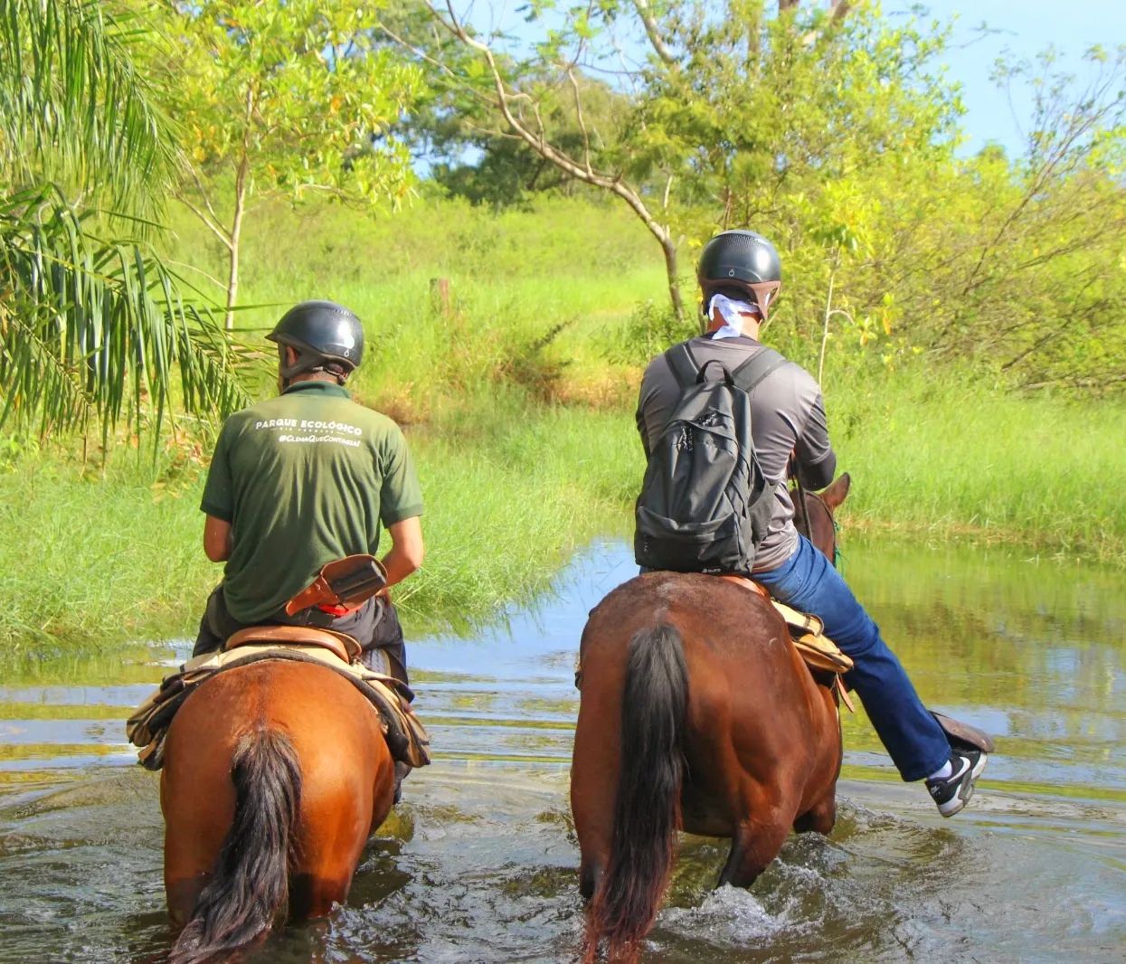 Cavalgada - Parque Ecológico Rio Formoso - Imagem 4