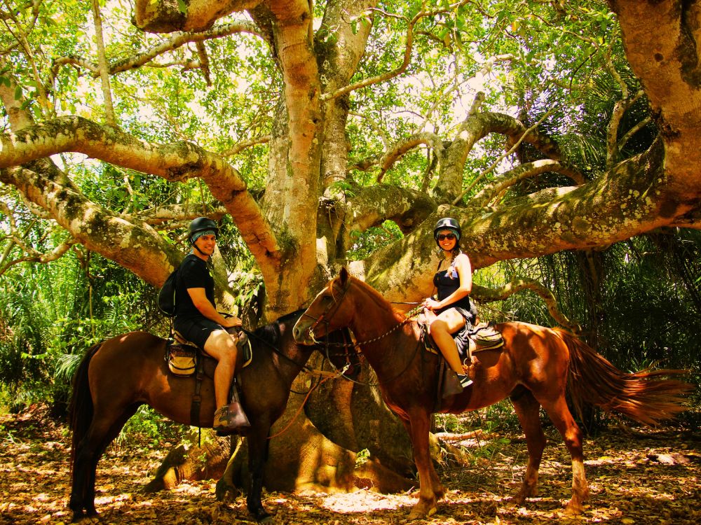 Cavalgada - Parque Ecológico Rio Formoso
