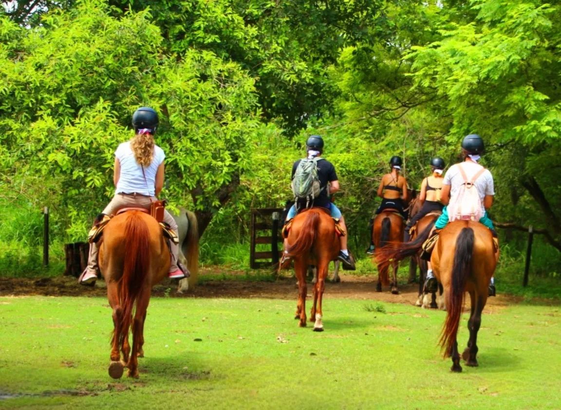 Cavalgada - Parque Ecológico Rio Formoso