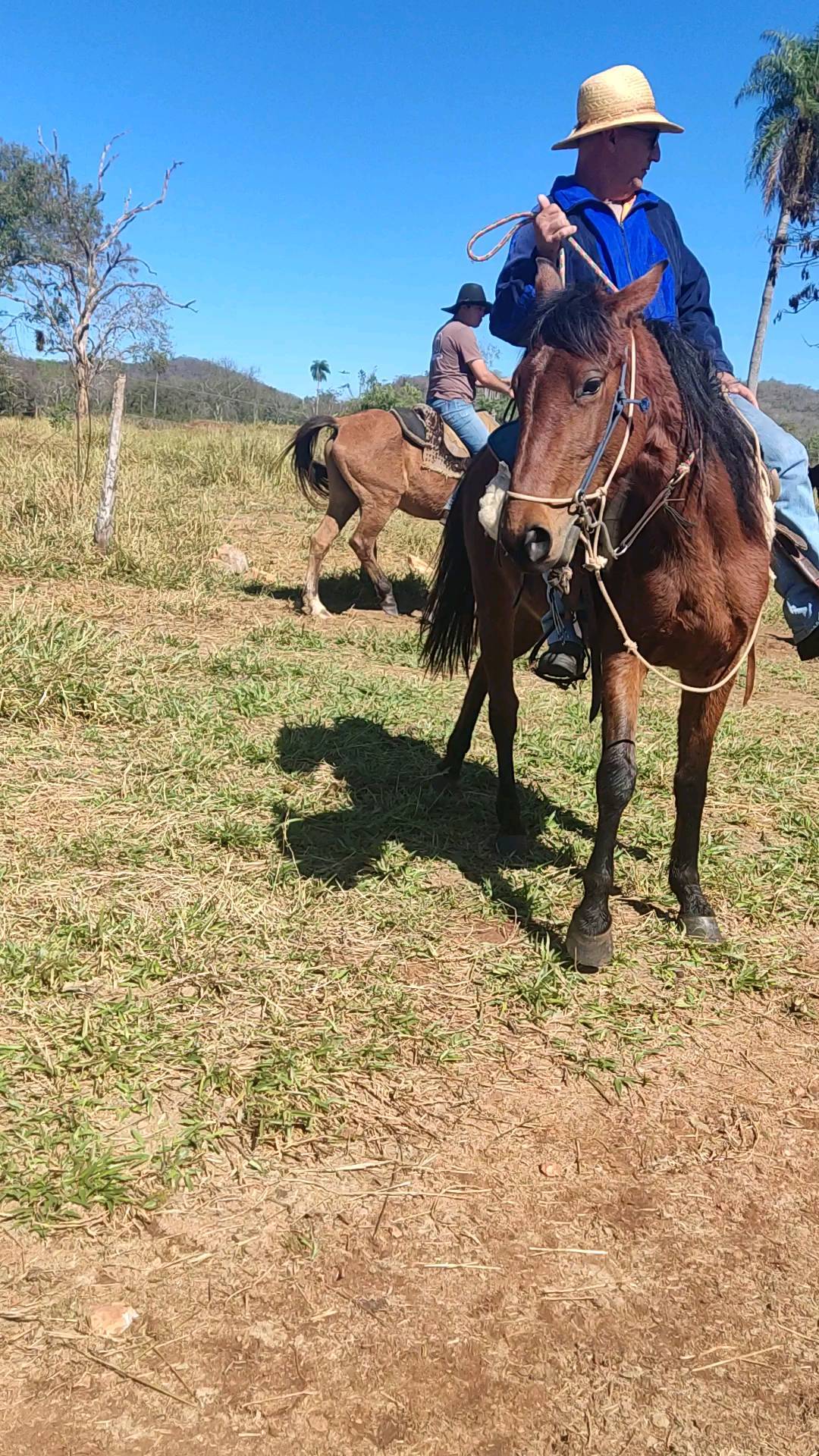 Cavalgada Recanto Do Peão - Imagem 3