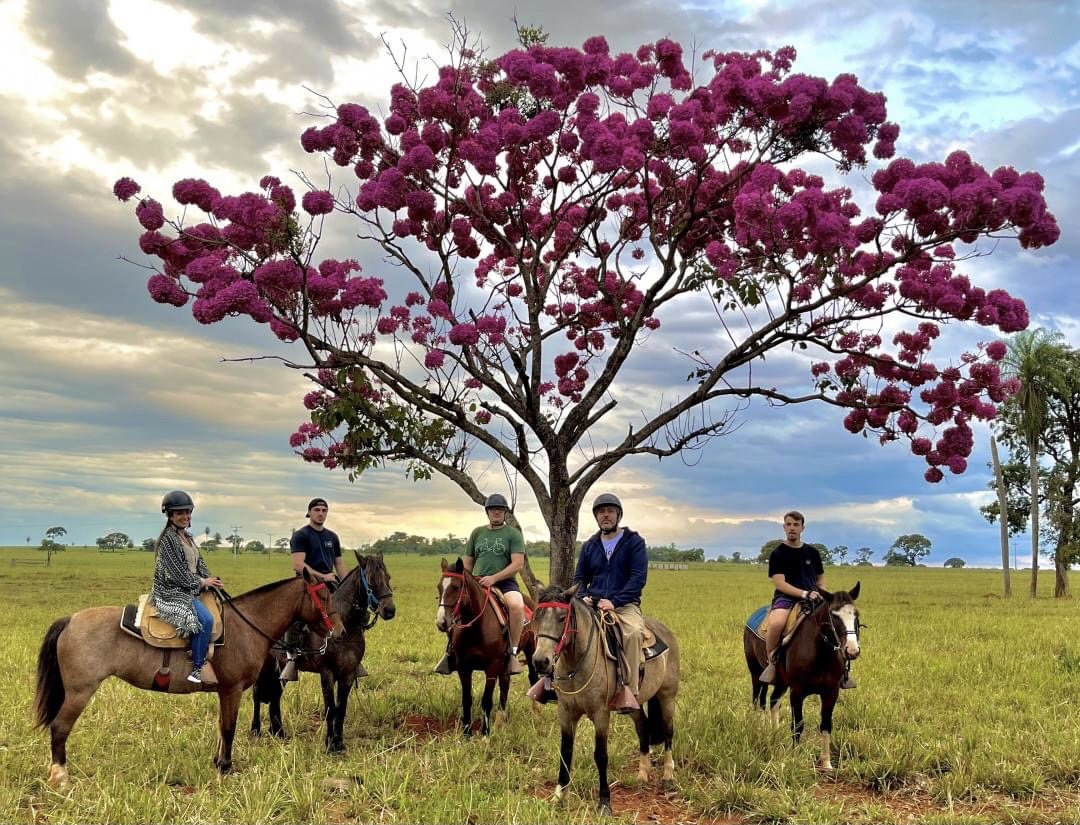 Cavalgada - Rio Da Prata - Imagem 9