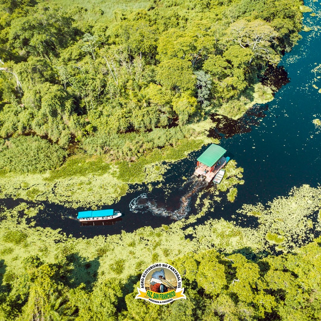 Fazenda San Francisco - Imagem 6