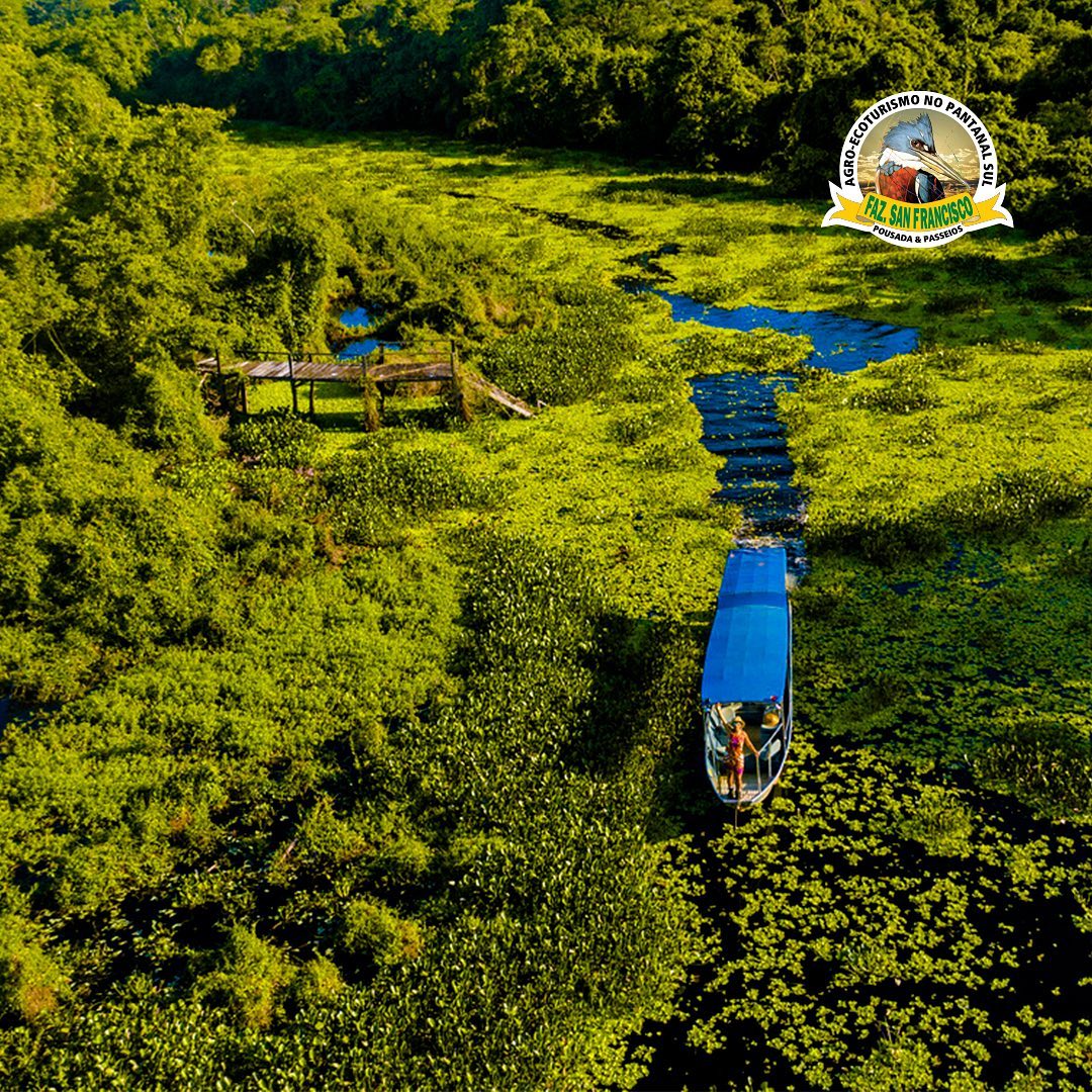 Fazenda San Francisco - Imagem 7