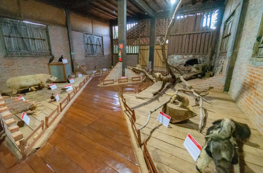 Gruta Da Catedral (Antiga Gruta São Mateus). - Imagem 11