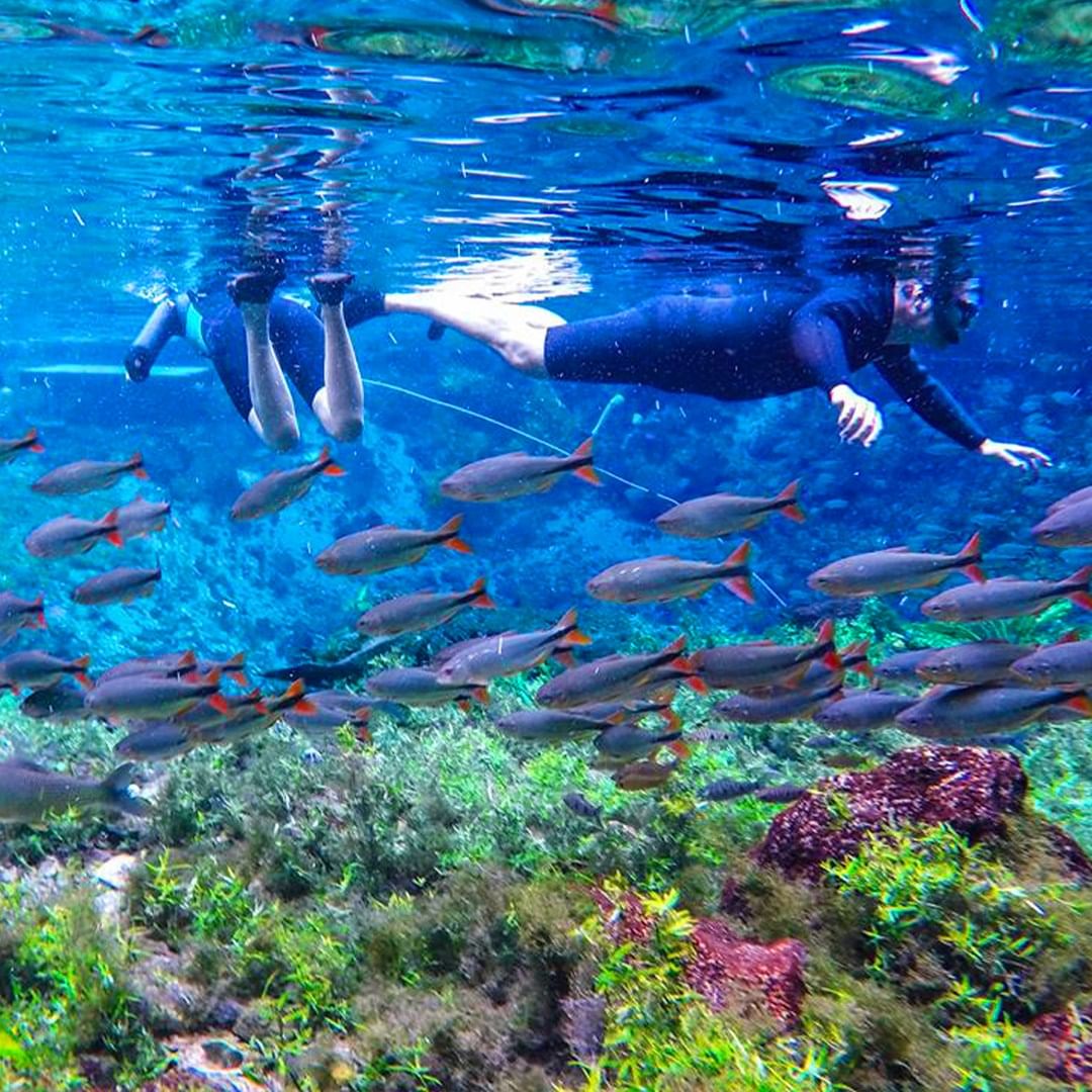 Nascente Azul Flutuação com Balneário - Imagem 1