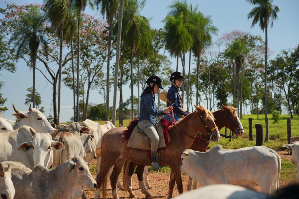 Pantanal Experiência - Imagem 1