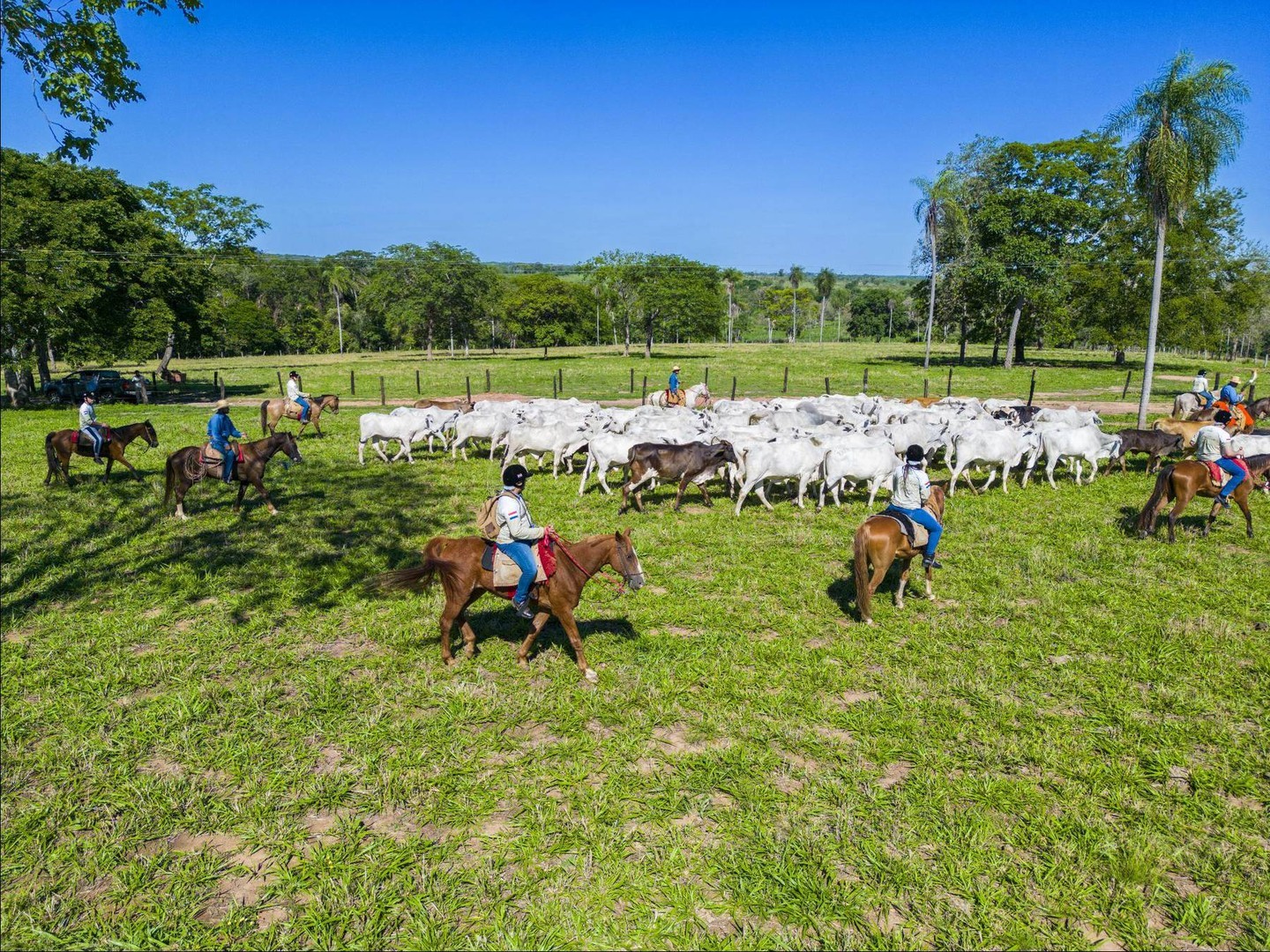 Pantanal Experiência