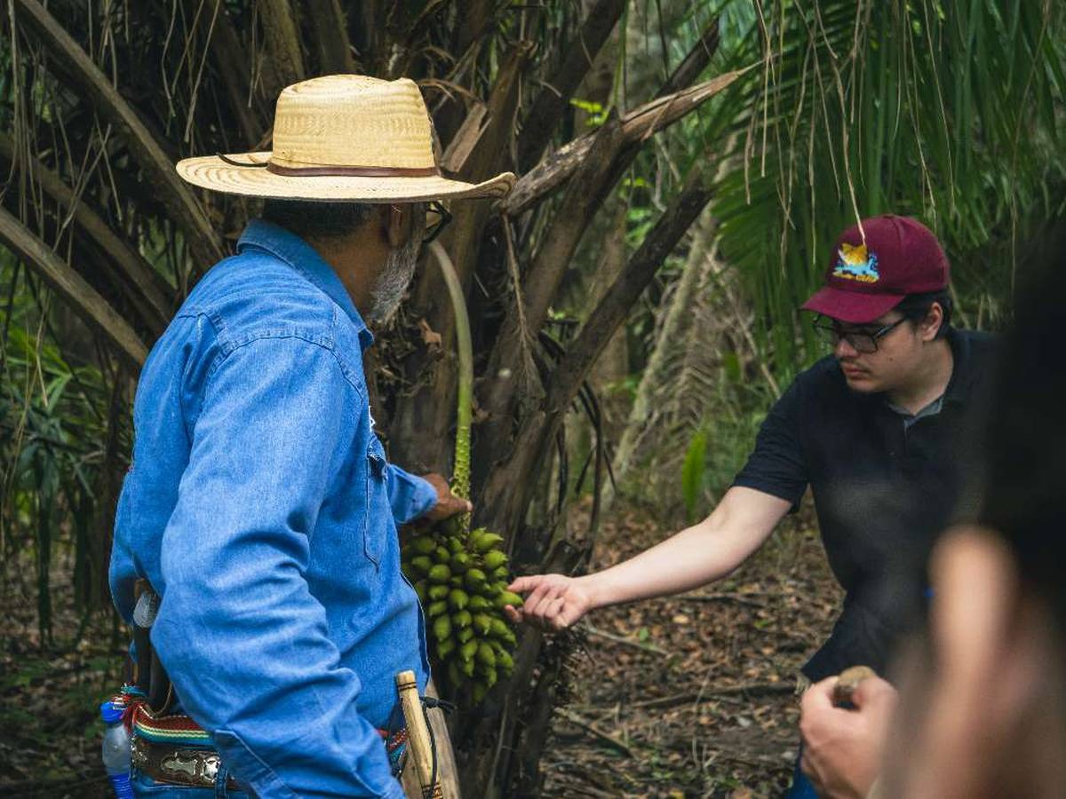 Pantanal Experiência - Imagem 4