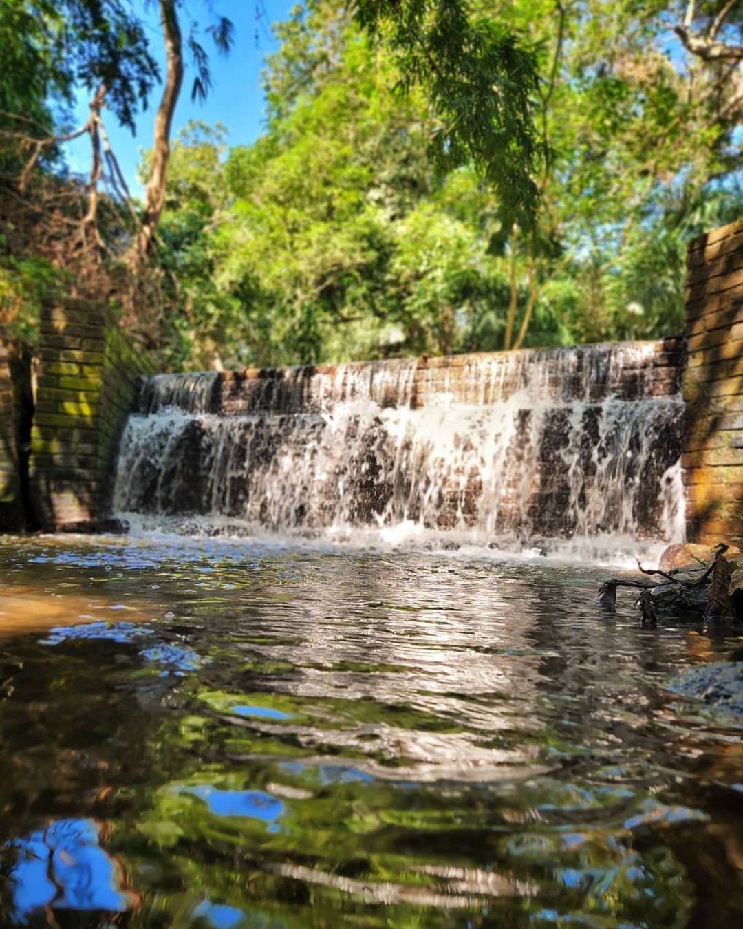 Pantanal Experiência - Imagem 5