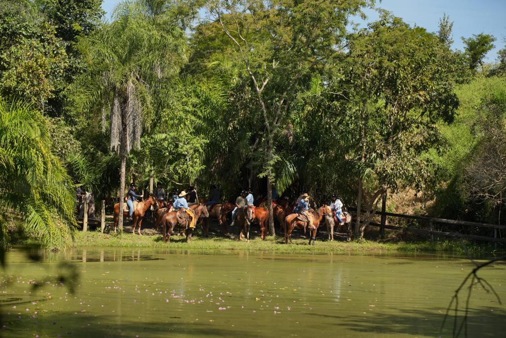 Pantanal Experiência - Imagem 6
