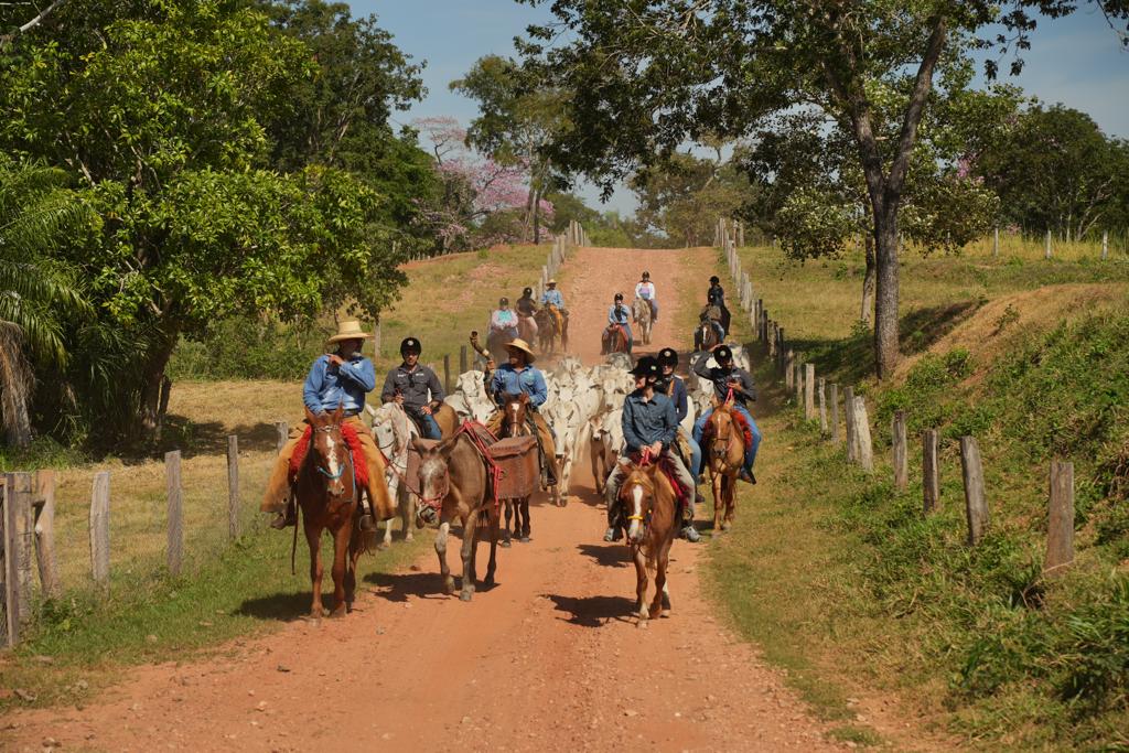 Pantanal Experiência - Imagem 7