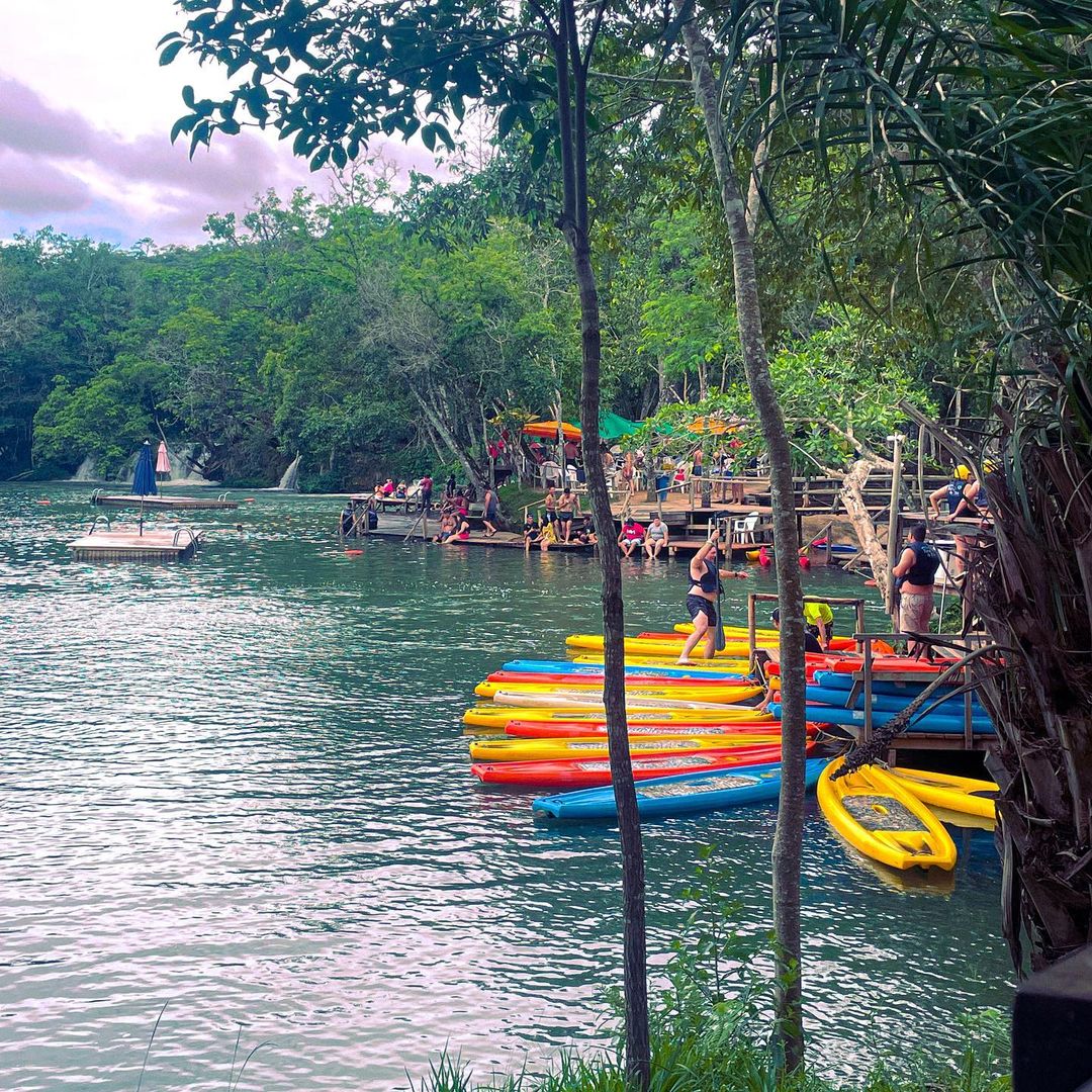 Passeio de Duck no Eco Park Porto Da Ilha - Imagem 1