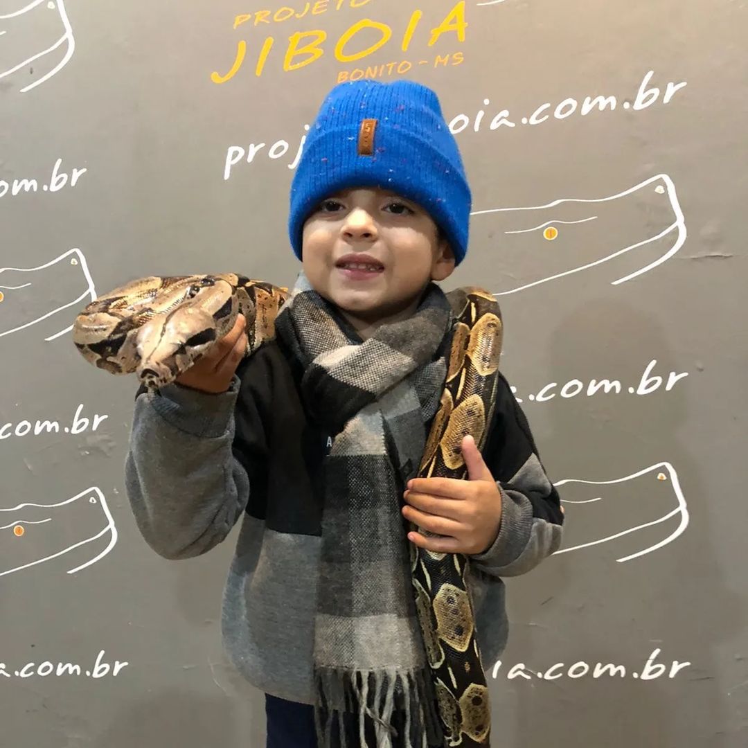 Projeto Jiboia - Imagem 1