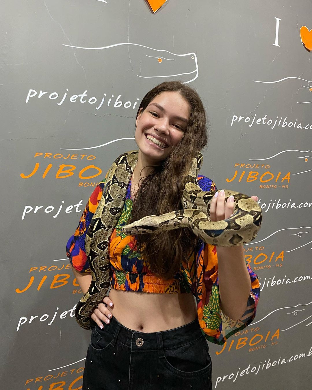 Projeto Jiboia - Imagem 3