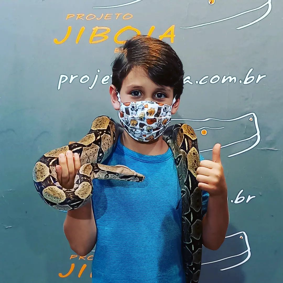 Projeto Jiboia - Imagem 6