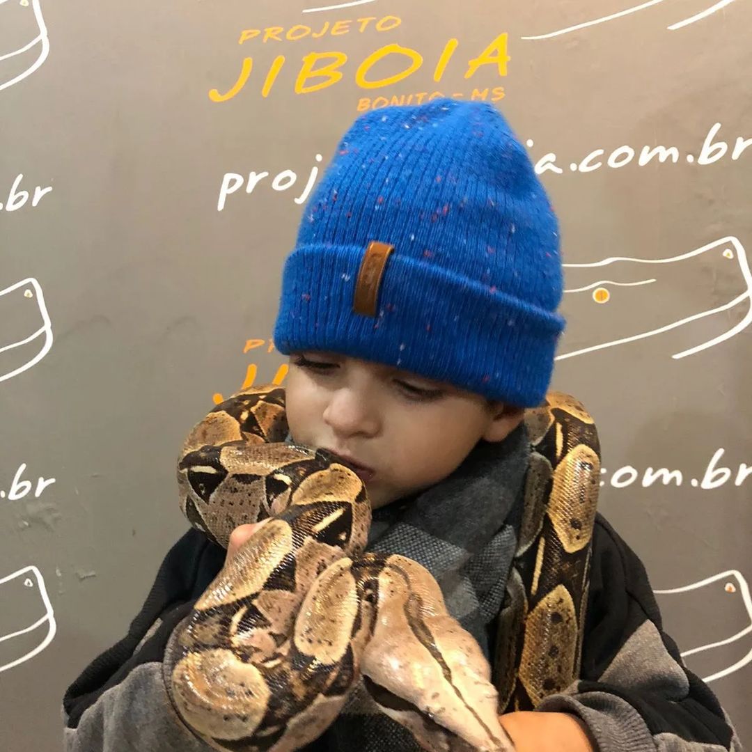 Projeto Jiboia