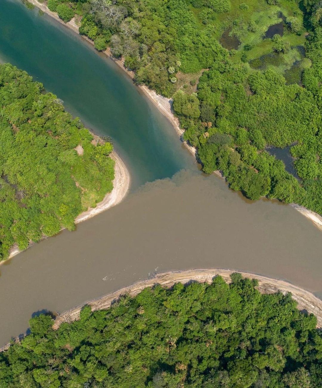 Projeto Salobra - Passeio Encontro Das Águas - Imagem 1