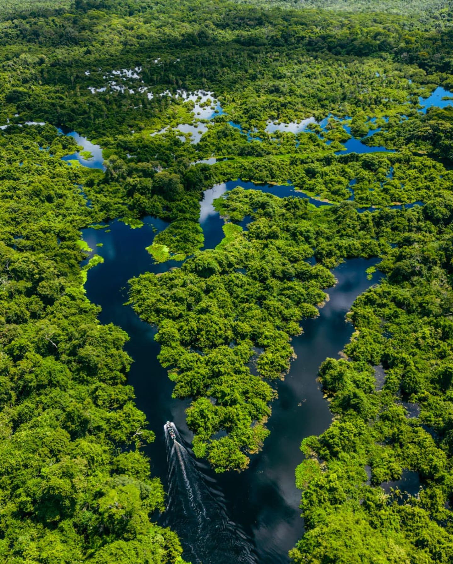 Projeto Salobra - Passeio Encontro Das Águas - Imagem 4