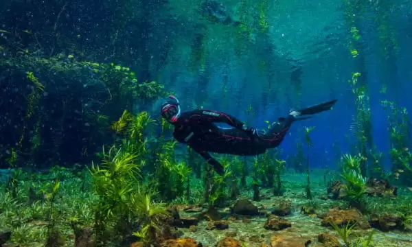 Rio Azul + Fervedouro - Imagem 6