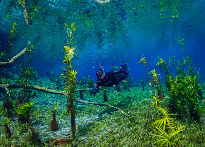 Rio Azul + Fervedouro - Imagem 8