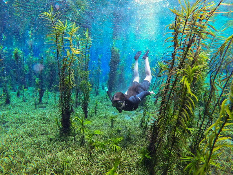 Rio Azul + Fervedouro - Imagem 9