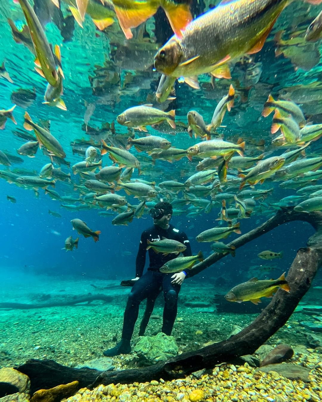 Rio da Prata - Imagem 3