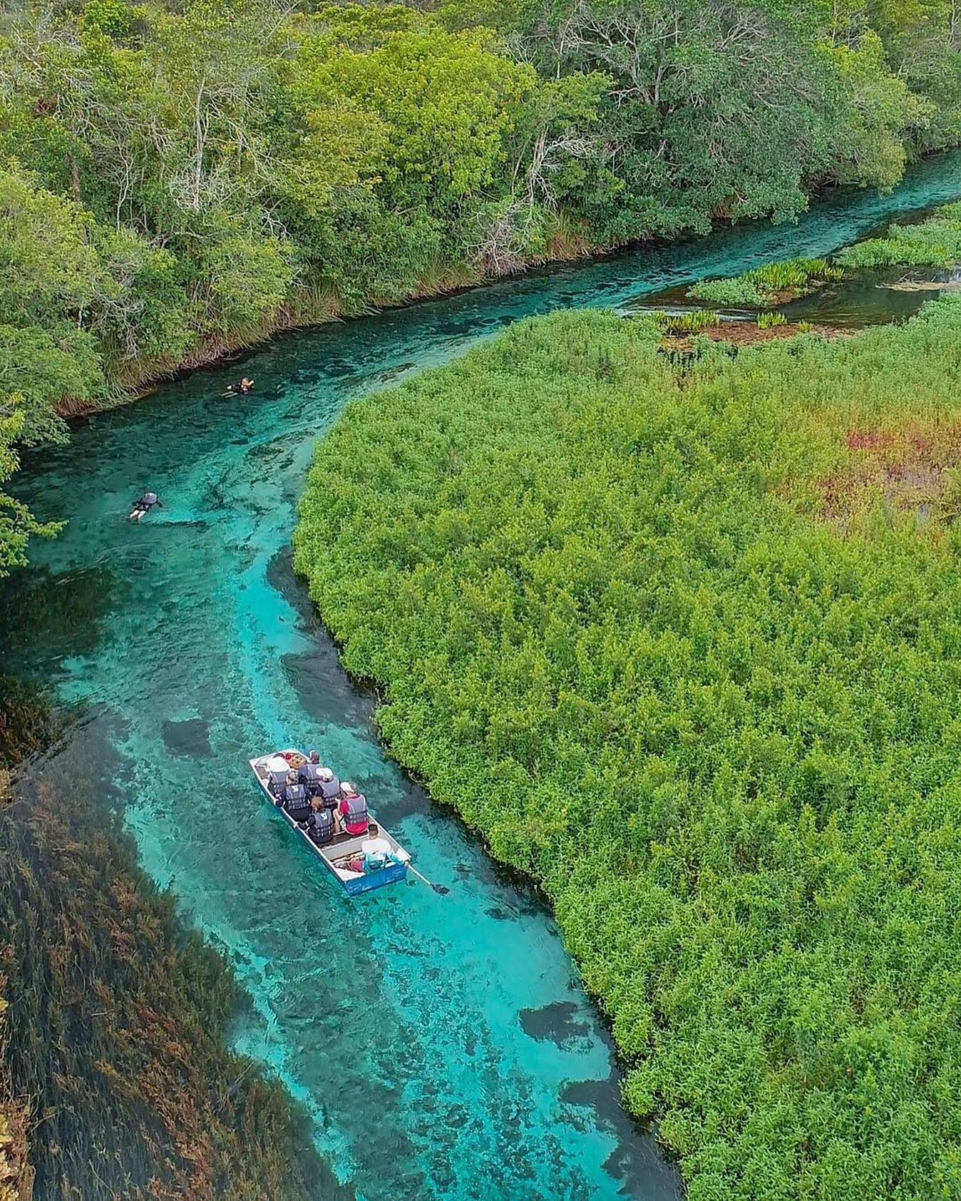 Rio Sucuri - Imagem 3