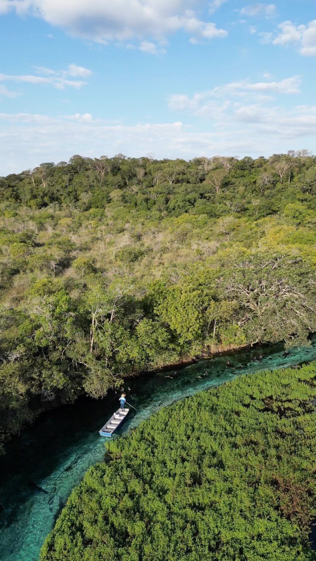 Rio Sucuri - Imagem 6